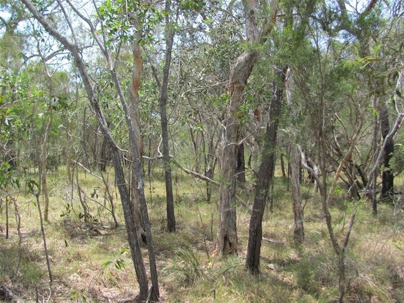 106 Matchbox Road, Deepwater QLD 4674