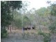 Rosedale QLD 4674