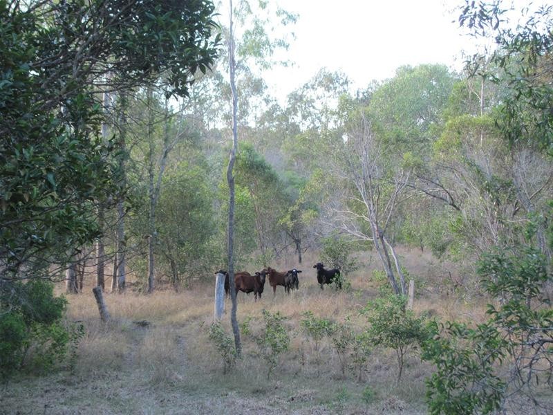 Rosedale QLD 4674