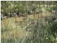 Eureka QLD 4660