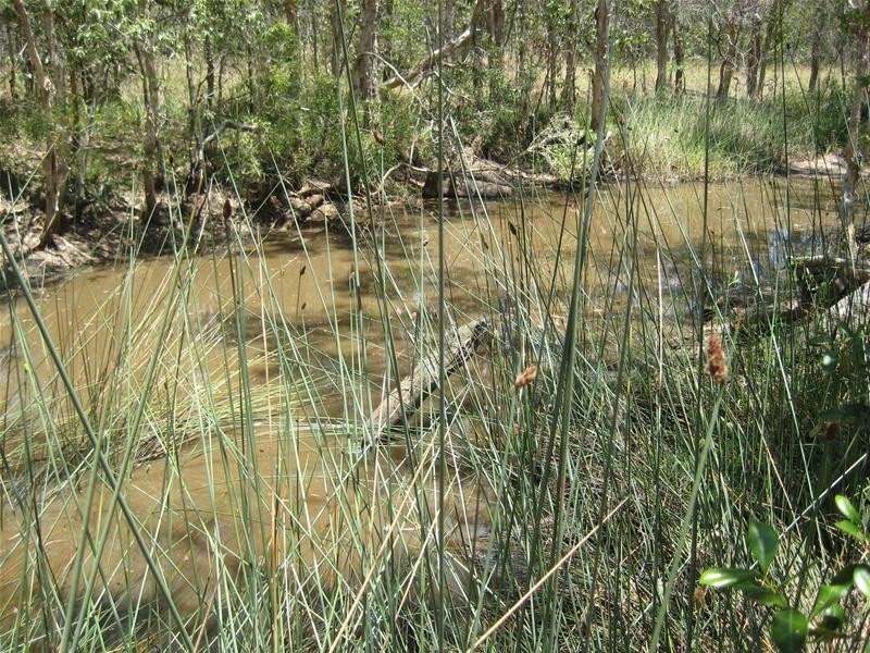 Eureka QLD 4660