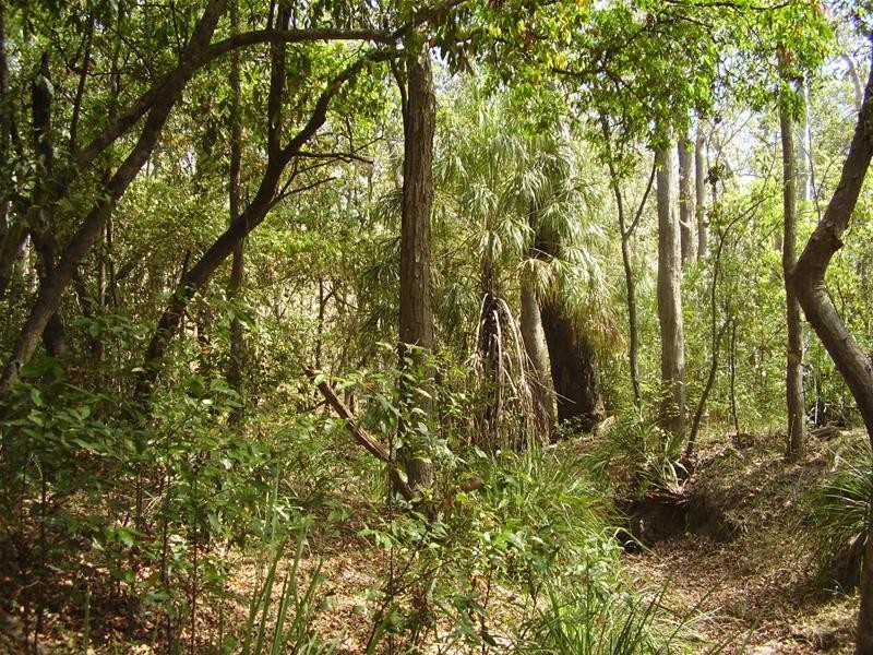 Mount Maria QLD 4674