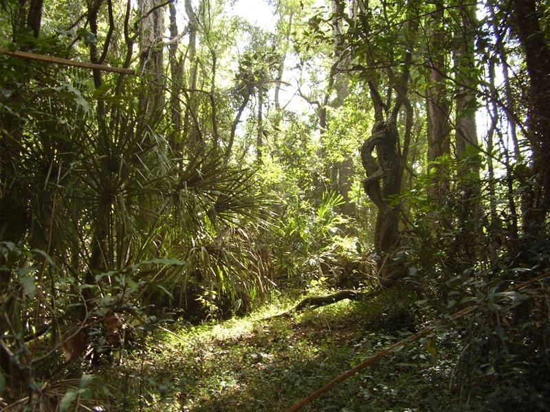 Mount Maria QLD 4674