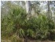Mount Maria QLD 4674