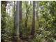 Mount Maria QLD 4674
