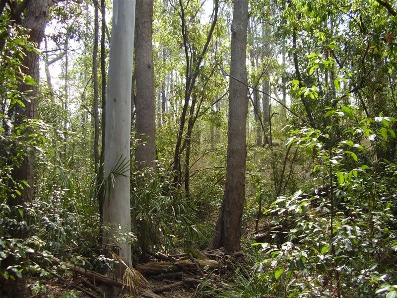 Mount Maria QLD 4674