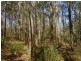 Mount Maria QLD 4674