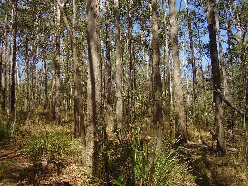 Mount Maria QLD 4674