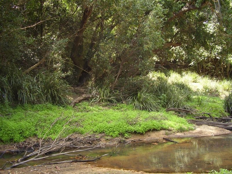 Mount Maria QLD 4674