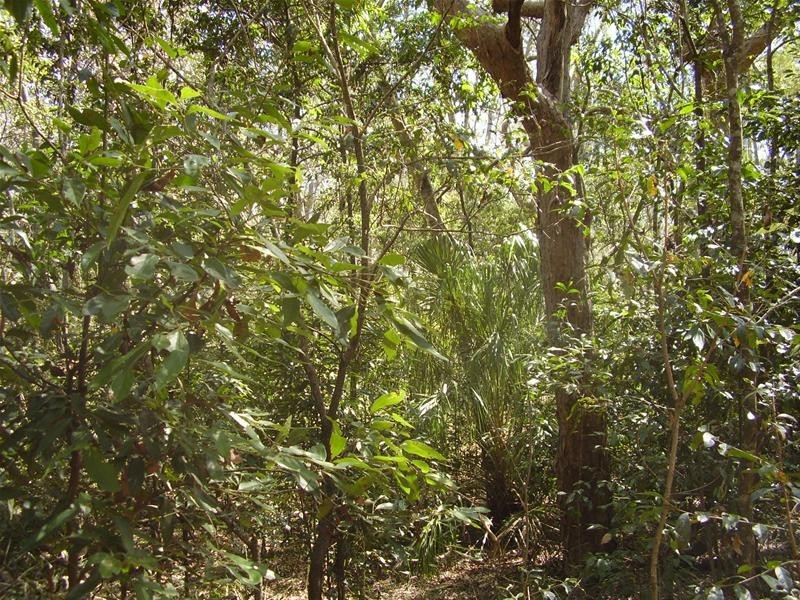 Mount Maria QLD 4674
