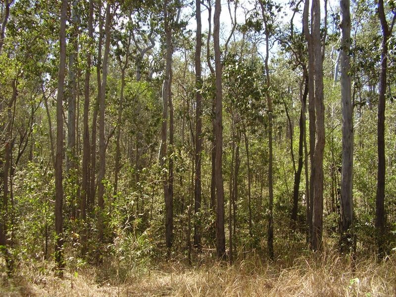 Mount Maria QLD 4674
