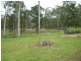 Horse Camp QLD 4671
