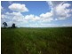 Gregory River QLD 4660