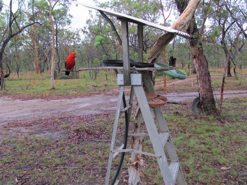 Captain Creek QLD 4677