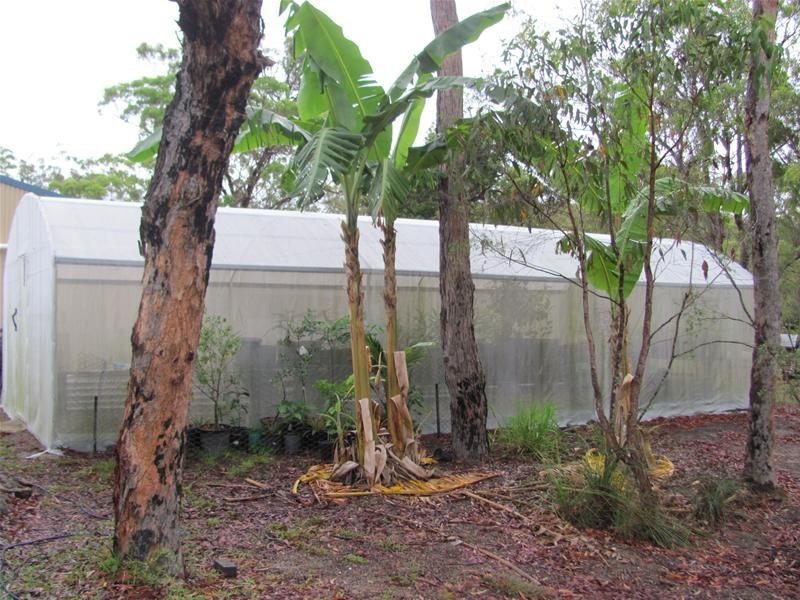 Captain Creek QLD 4677