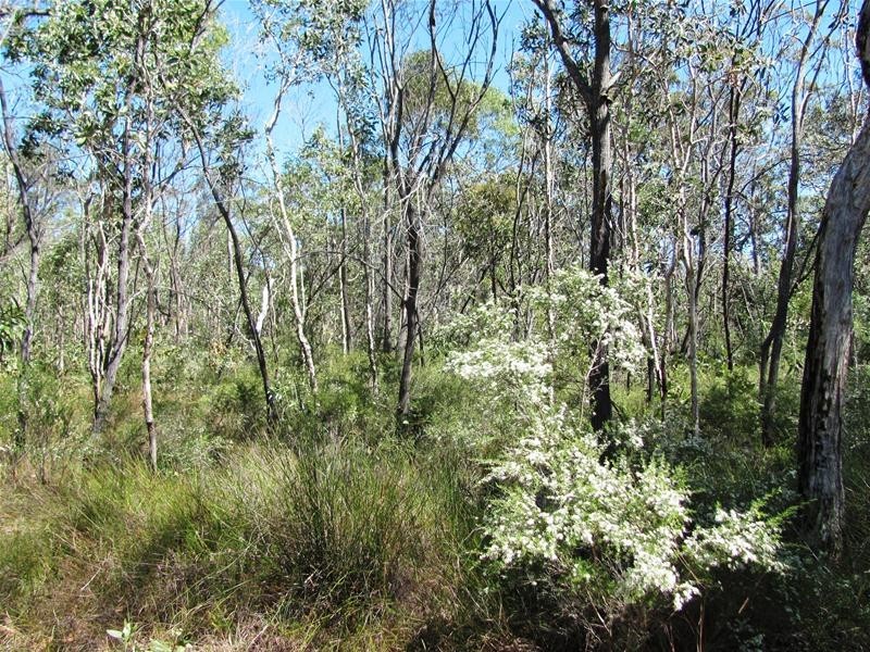 Deepwater QLD 4674