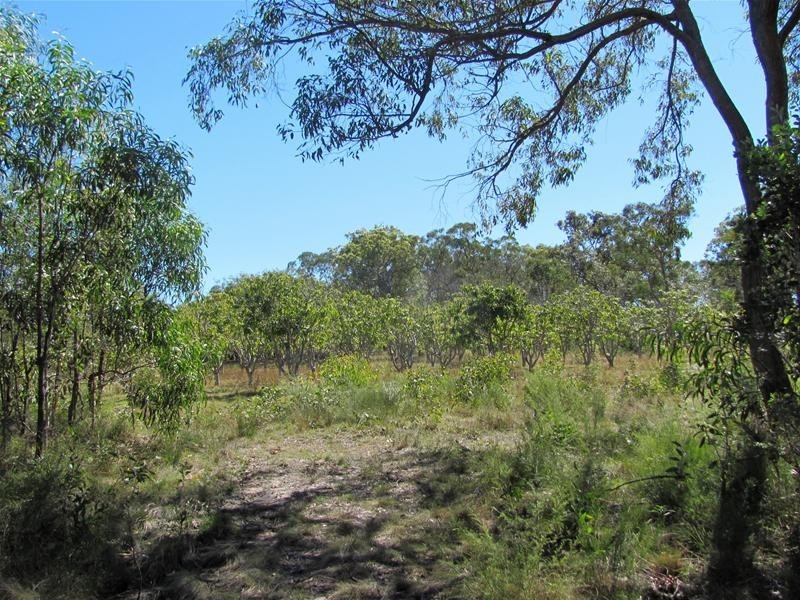 Deepwater QLD 4674