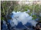 2452 Round Hill Road, Agnes Water QLD 4677