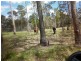 Avondale QLD 4670