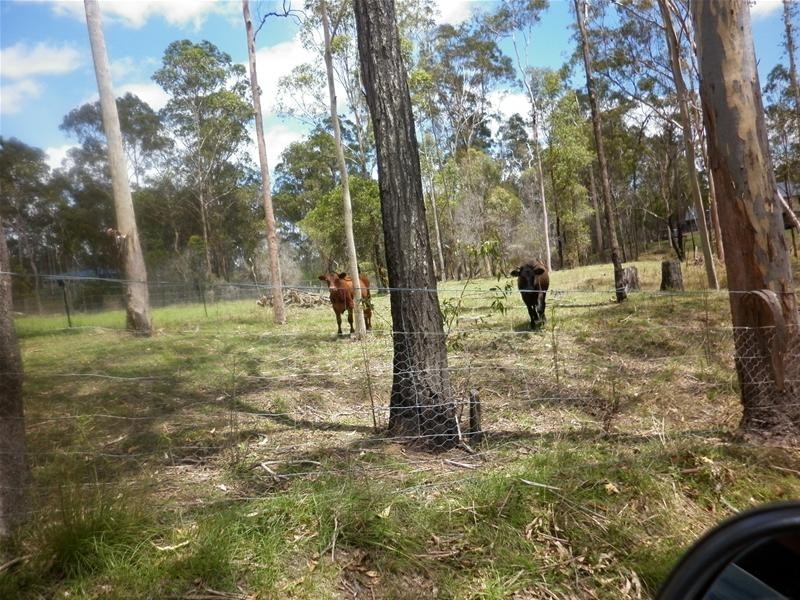 Avondale QLD 4670