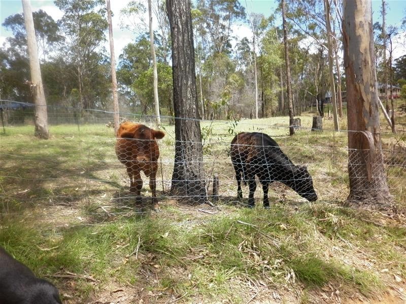 Avondale QLD 4670