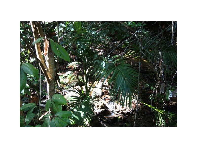 Branyan QLD 4670
