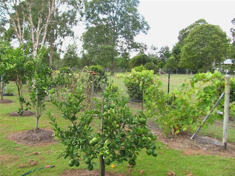 1 Coopers Road, Yandaran QLD 4673