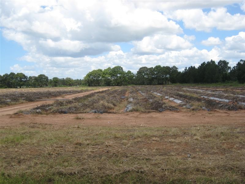 Calavos QLD 4670