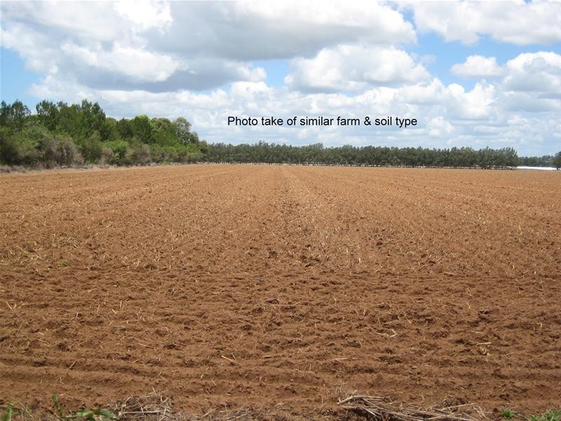 Calavos QLD 4670