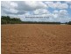 Calavos QLD 4670