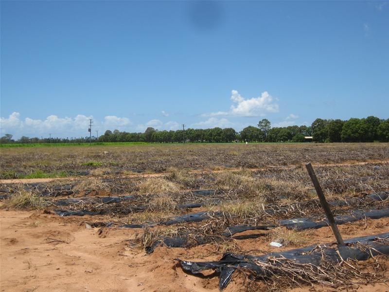 Calavos QLD 4670