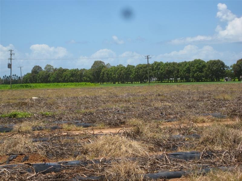 Calavos QLD 4670