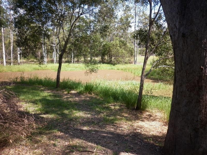 South Kolan QLD 4670