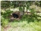 Moolboolaman QLD 4671