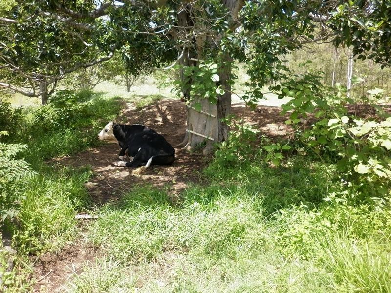 Moolboolaman QLD 4671