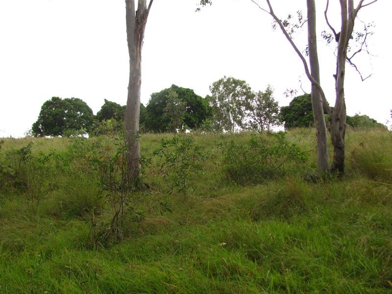 Lot 2/ Coast Road, Baffle Creek QLD 4674