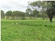 2417 Fingerboard Road, Taunton QLD 4674