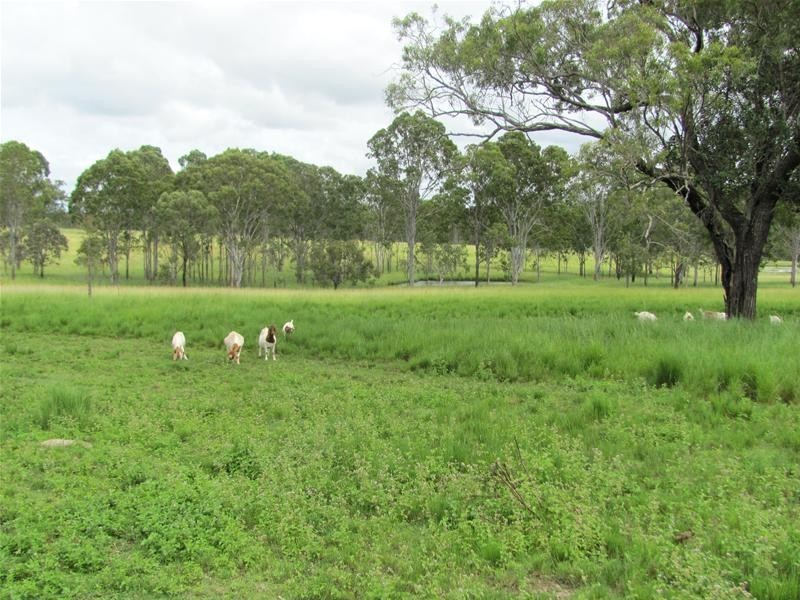 2417 Fingerboard Road, Taunton QLD 4674
