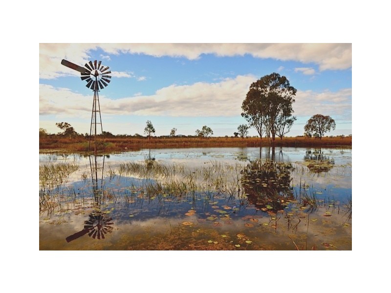 2417 Fingerboard Road, Taunton QLD 4674
