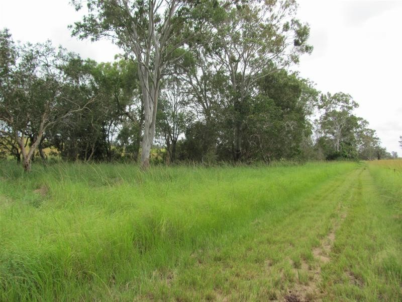 2417 Fingerboard Road, Taunton QLD 4674
