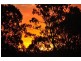 2417 Fingerboard Road, Taunton QLD 4674