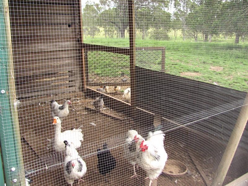 2417 Fingerboard Road, Taunton QLD 4674