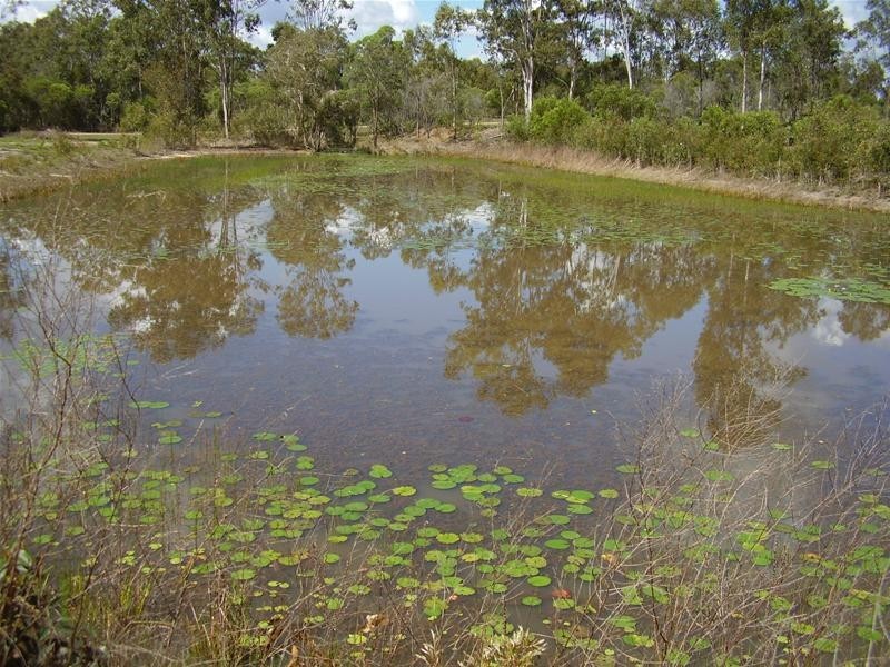 211 Coast Road, Baffle Creek QLD 4674