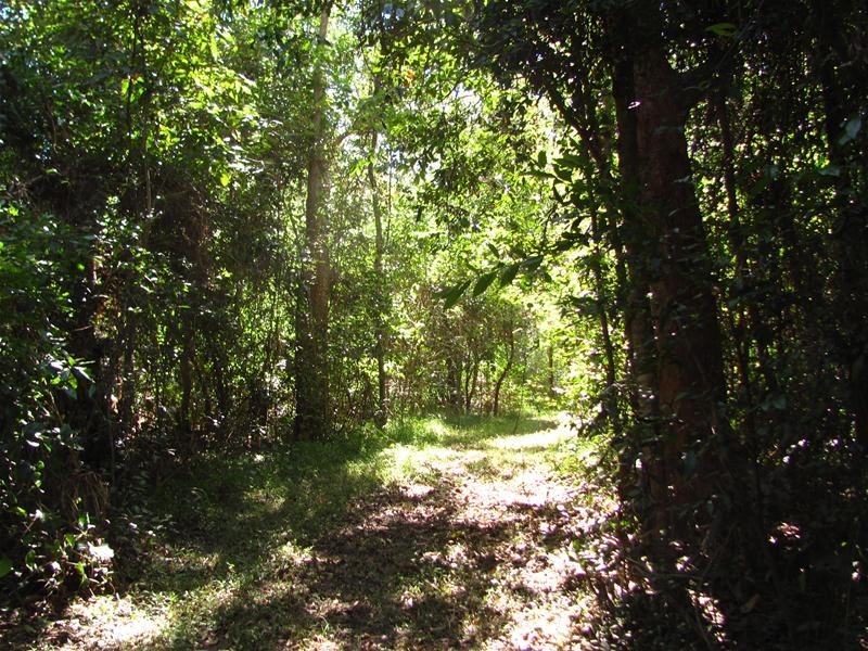 Mount Maria QLD 4674