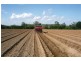 South Kolan QLD 4670