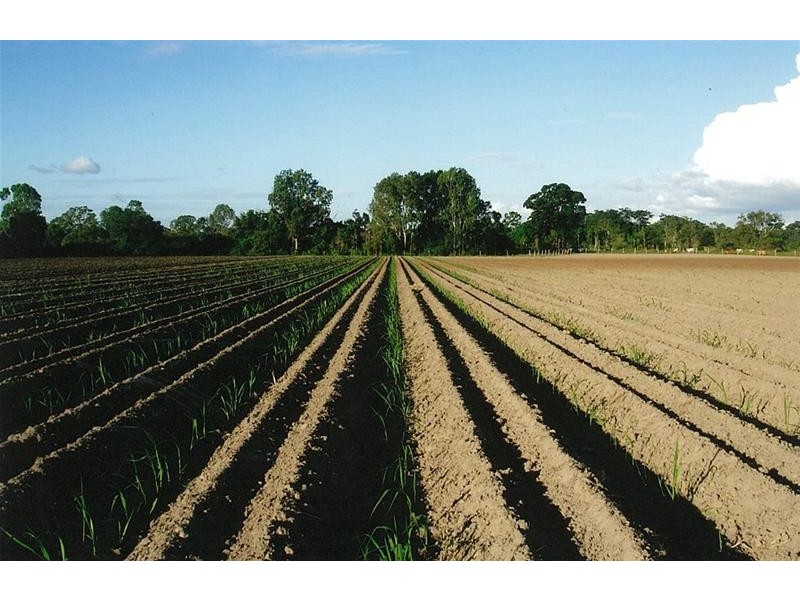 South Kolan QLD 4670