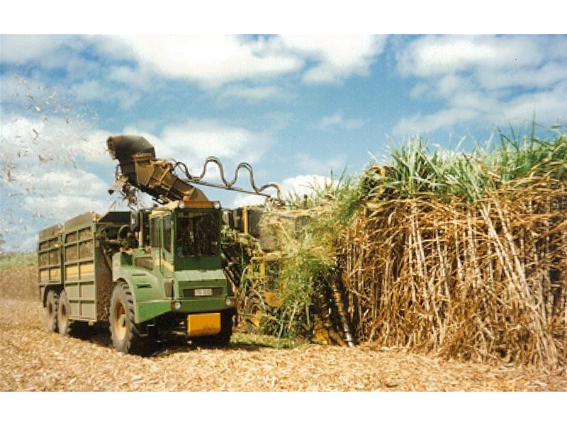 South Kolan QLD 4670