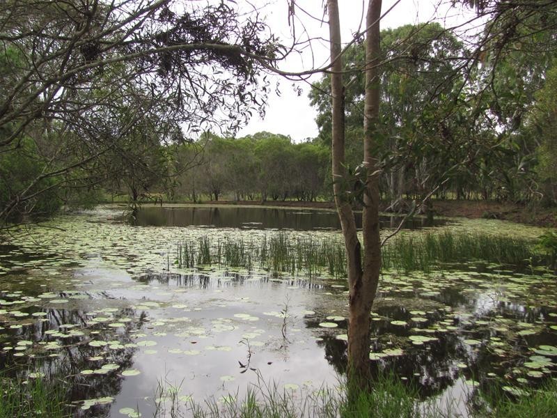 3044 Rosedale Road, Yandaran QLD 4673