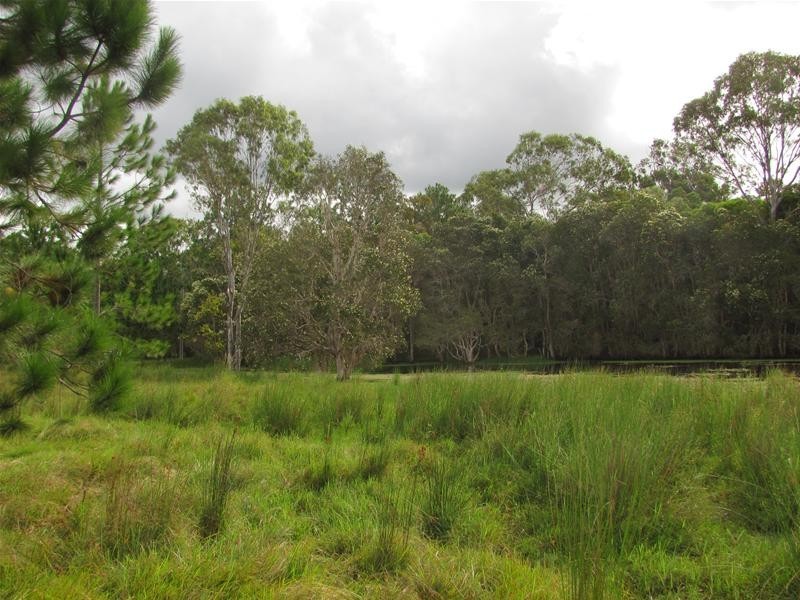 3044 Rosedale Road, Yandaran QLD 4673