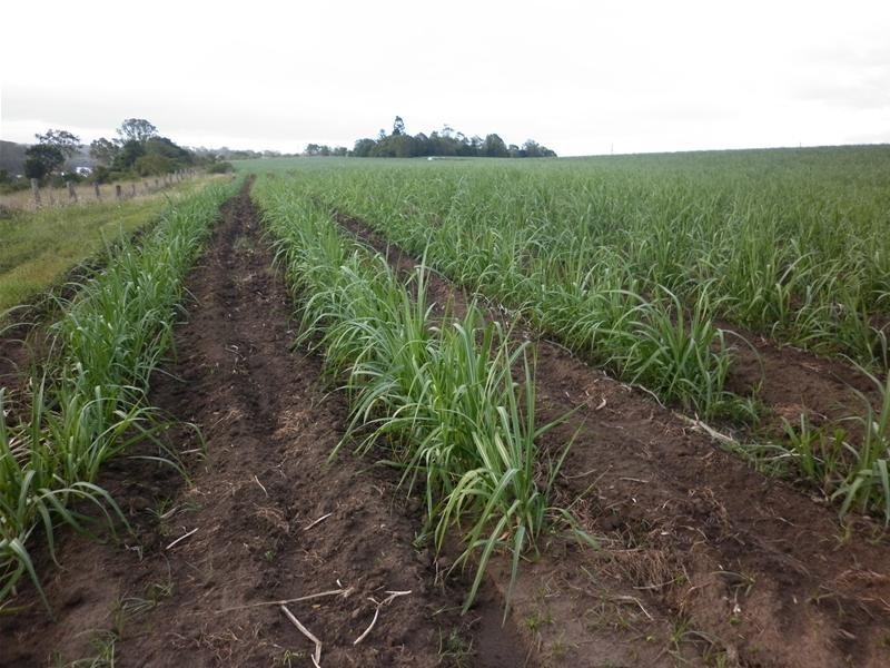 South Kolan QLD 4670
